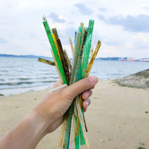 news, Environmental Benefits of Edesia Rice Straws